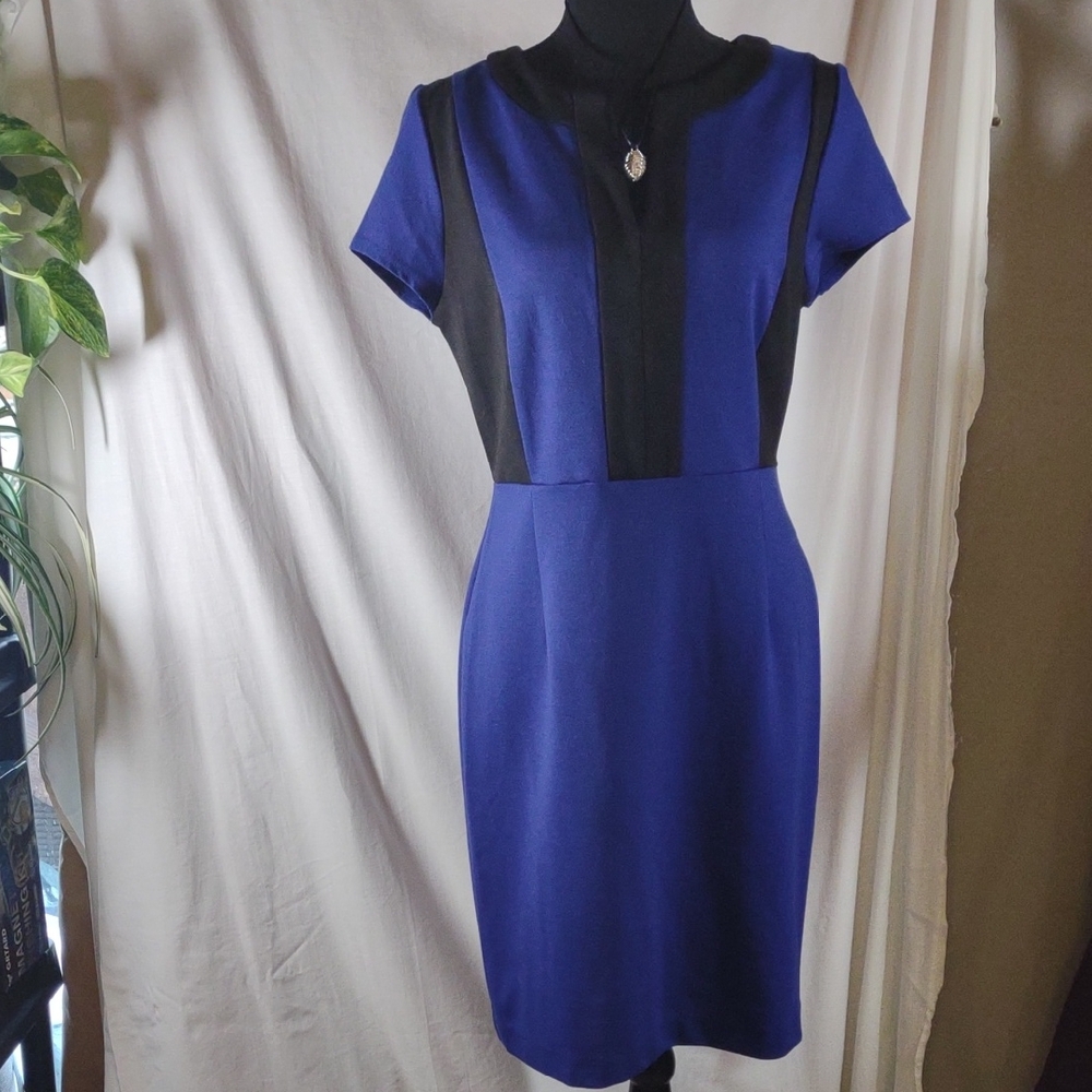 Covington Women's Cobalt Blue w/Black Midi/Mini Dress - Size M